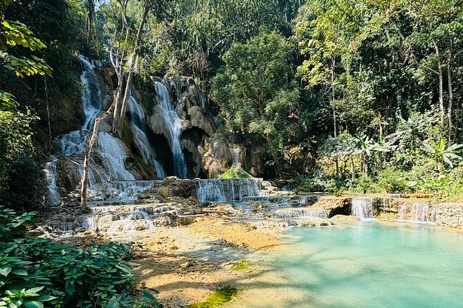 Day Trek to Kuangsi Waterfall and Bear Sanctuary - Luang Prabang full day tour - Meeting the bears at the rescue center