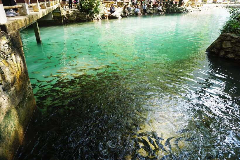Day Trip Vientiane - VangVieng by Express Train - Who should book this Vang Vieng day trip?