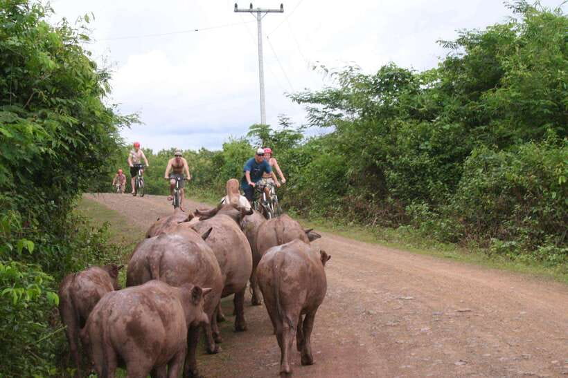 From Luang Prabang: Guided Mountain Bike Tour with Lunch - At a glance