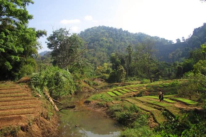 Full Day Crossing the Bolaven Plateau - Tad Yuang for water, rock, and a possible swim