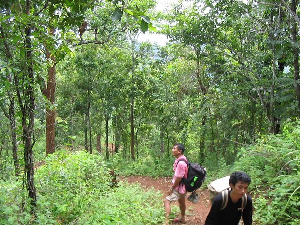 Full Day Trek to Kuang Si Waterfalls, Remote Village - Group size, guides, and the pace of the day