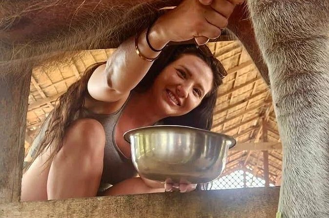 Laos Buffalo Dairy Tours Interact, Learn and Taste Fresh Flavors - Practical details for your visit