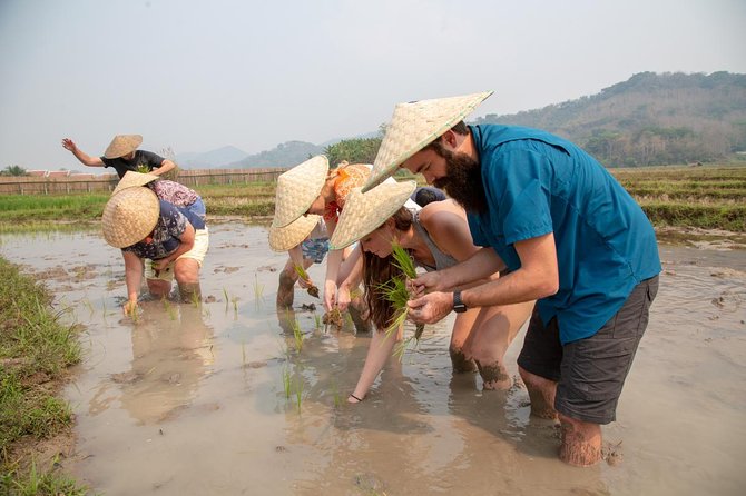 Living Land Rice Farming Experience - Bamboo, sugar cane, and the village workshop