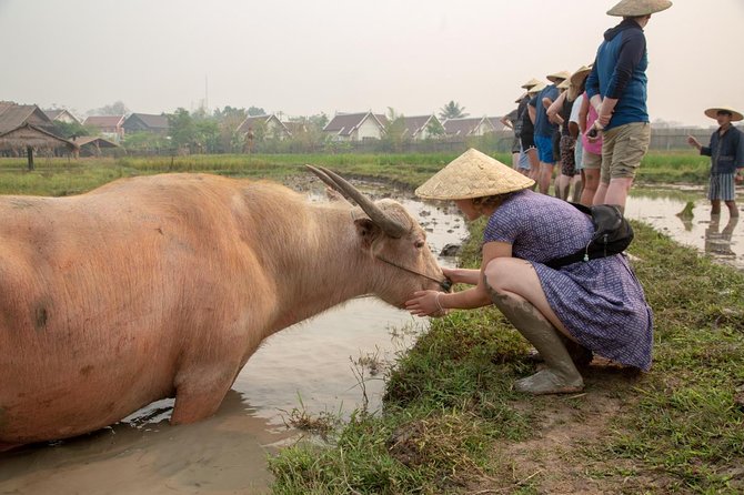 Living Land Rice Farming Experience - The difference between a farm day and an add-on day