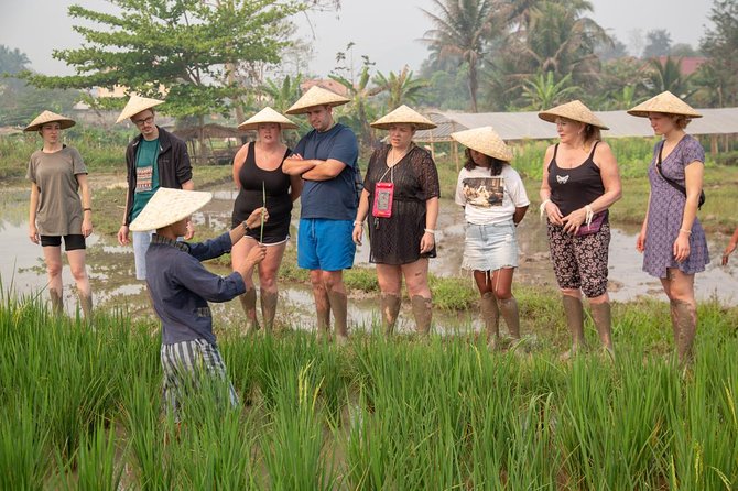 Living Land Rice Farming Experience - Who will get the most from this experience