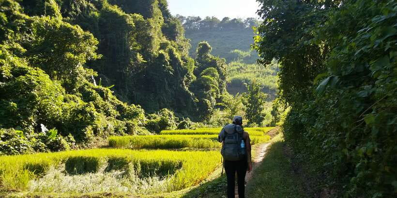 Luang Prabang: 3-Day Cultural Remote Trek With Homestay - Food, guides, and cultural contact