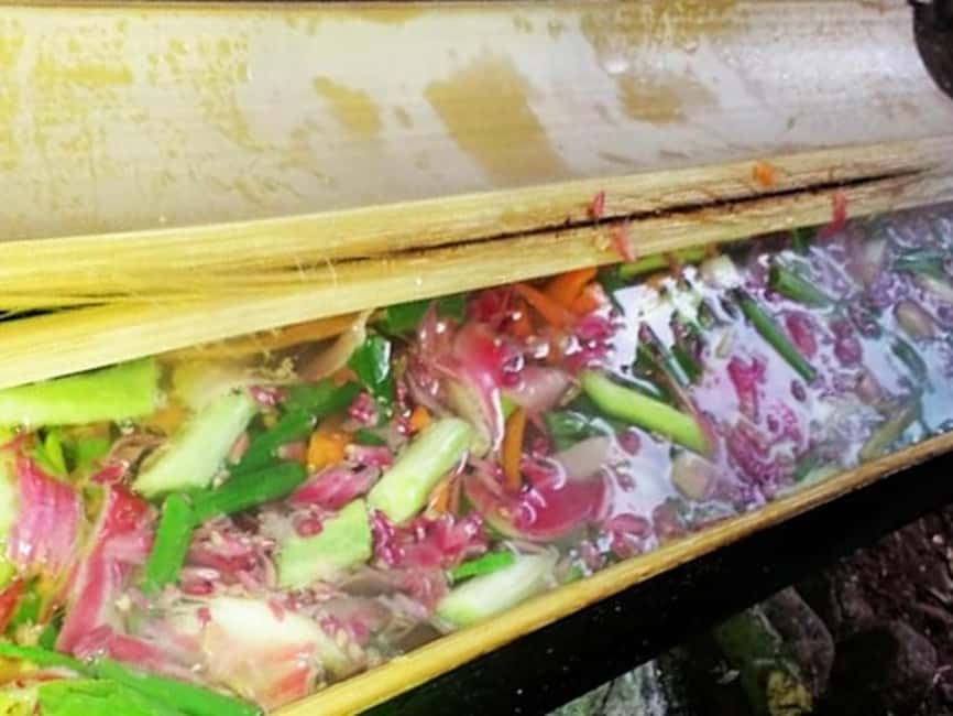 Luang Prabang: Bamboo Forest Cooking-class & Farm Visit - Gathering plants with a Khmu guide