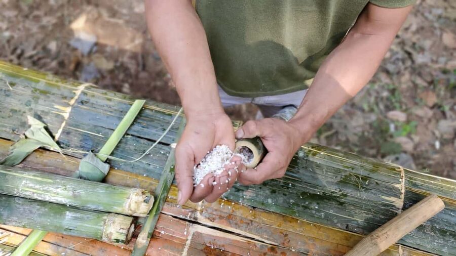 Luang Prabang: Bamboo Forest Cooking-class & Farm Visit - Bamboo-cooked rice, meat, and fish