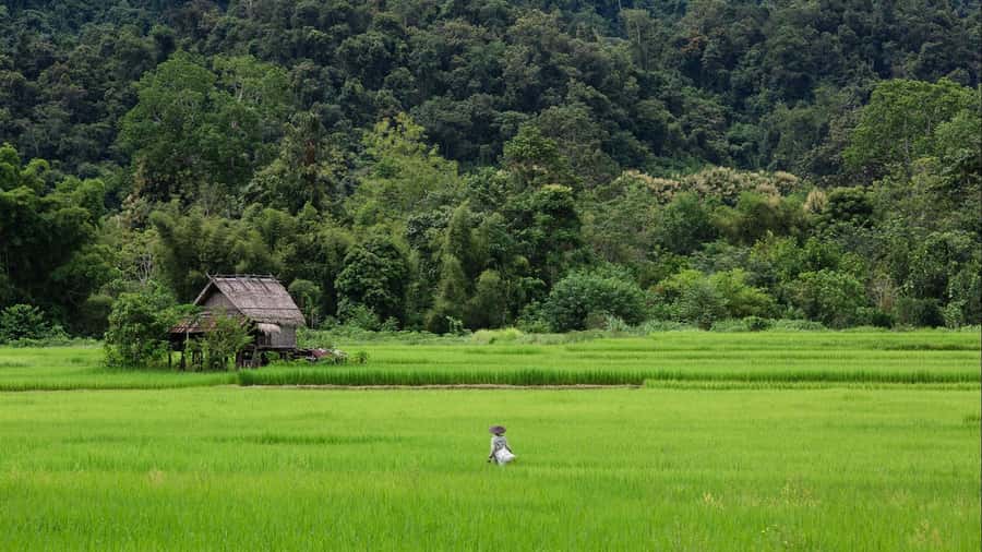 Luang Prabang: Countryside Mountain Bike Tour with Lunch - Ban Xieng Lek and the craft of mulberry paper