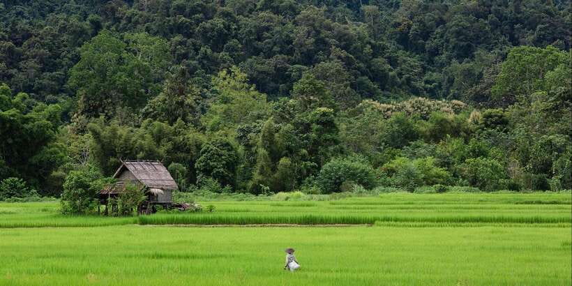 Luang Prabang: Countryside Mountain Bike Tour with Lunch - Lunch by the river
