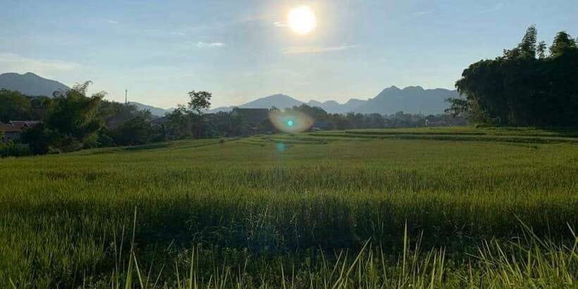 Luang Prabang: Evening Cooking Class & Local Baci Ceremony - Music beside the rice fields