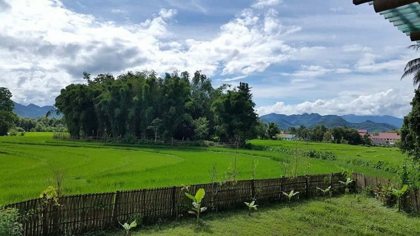 Luang Prabang: Evening Cooking Class & Local Baci Ceremony - Practical advice before you go