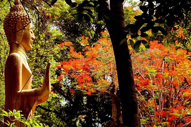 Luang Prabang Foodie Walking Tour and Monk Blessing - Choosing between the morning and evening versions