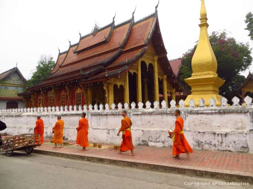 Luang Prabang: Foodie Walking Tour & Monk Blessing - Key points to know before booking
