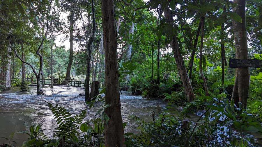Luang Prabang: Full Day Trek to Kuang Si Waterfall & Village - Starting at Ban Long, where two communities meet