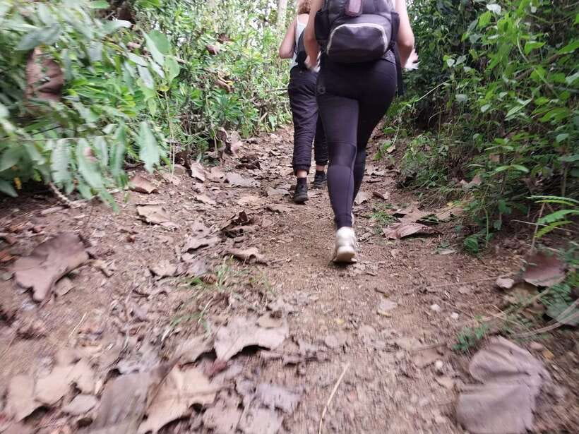 Luang Prabang: Hiking Off the Beaten Track with Picnic Lunch - Starting in Nong Tok after the 8:30 AM pickup