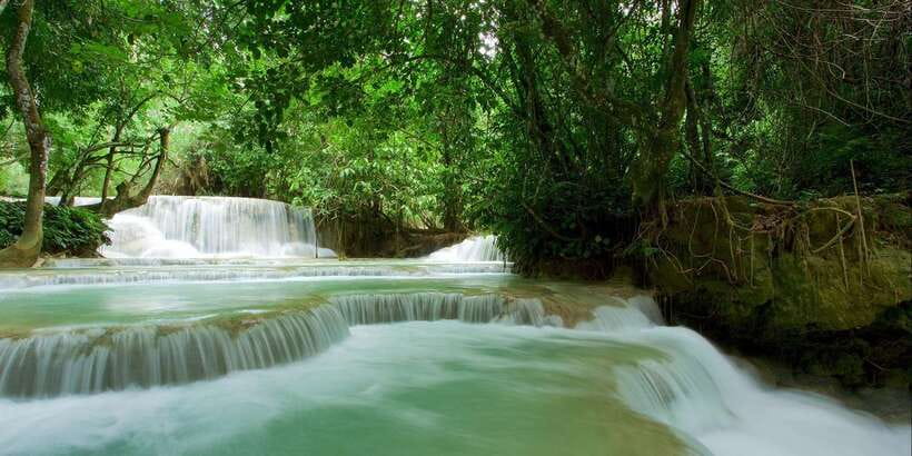 Luang Prabang: Kuang Si Bike Ride & Long-Tail Boat Cruise - Meeting the Asiatic bears