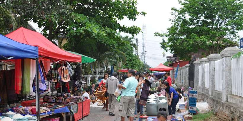 Luang Prabang: Local Village & Kuang Si Falls Private Tour - The bear sanctuary near the falls