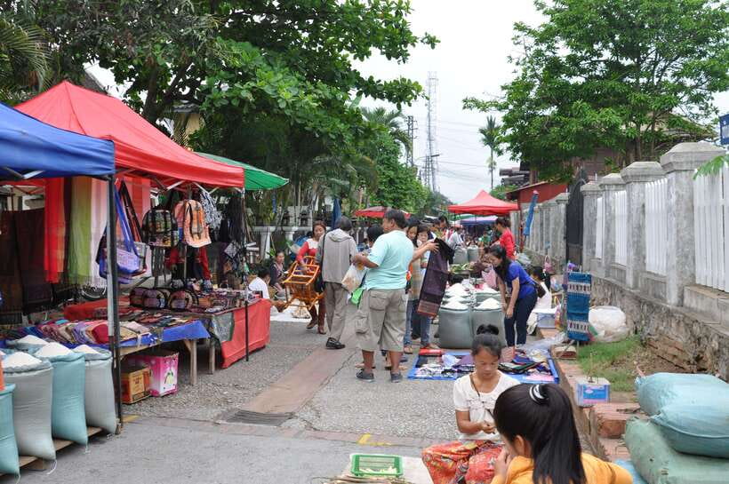 Luang Prabang: Local Village & Kuang Si Falls Private Tour - What the $119 price includes