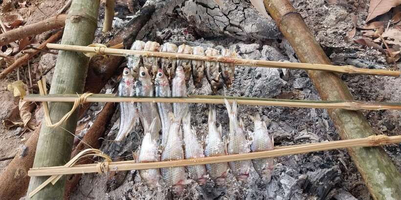 Luang Prabang: Mekong Fishing with a Local Fisherman & Lunch - Returning by boat and tuk-tuk