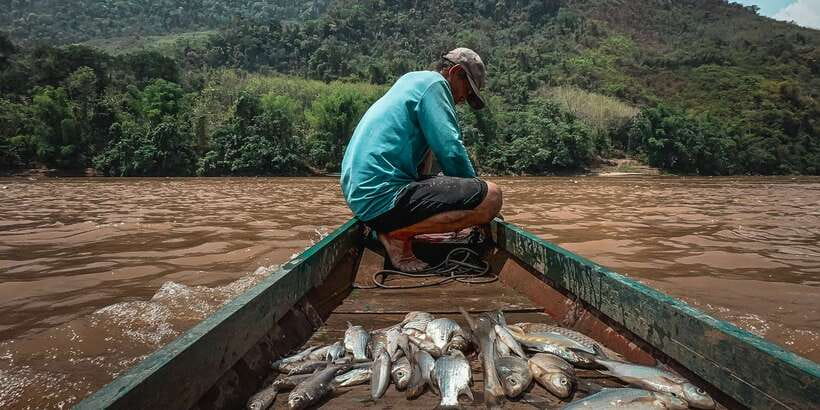Luang Prabang: Mekong Fishing with a Local Fisherman & Lunch - Should you book the Mekong fishing tour?