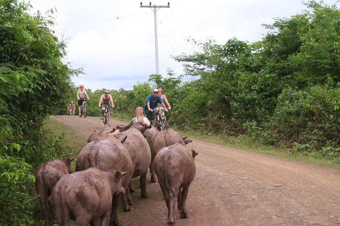 Luang Prabang Mountain Bike Cycling Tour - Ban Xang Hai brings lunch and a reset