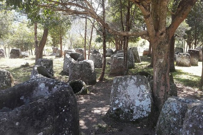 Plain of jars tour with local guide - Site 1, the largest final stop