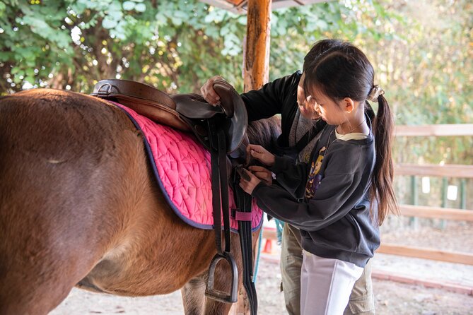 Pony Riding in Luang Prabang - Key points to know before booking