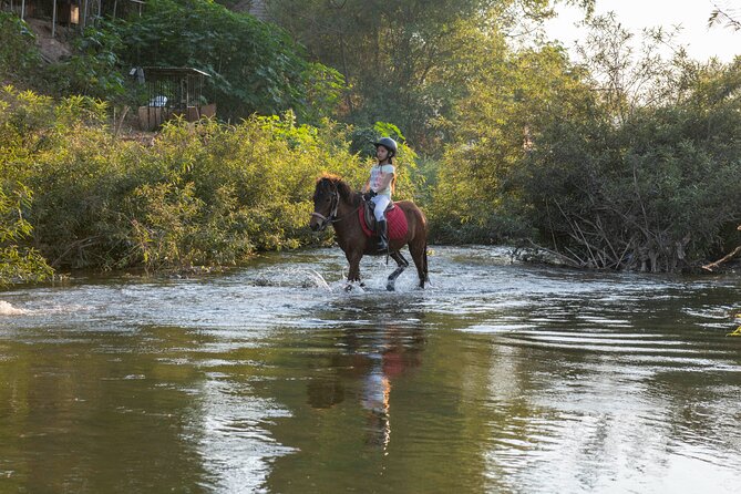Pony Riding in Luang Prabang - What the one-hour ride feels like