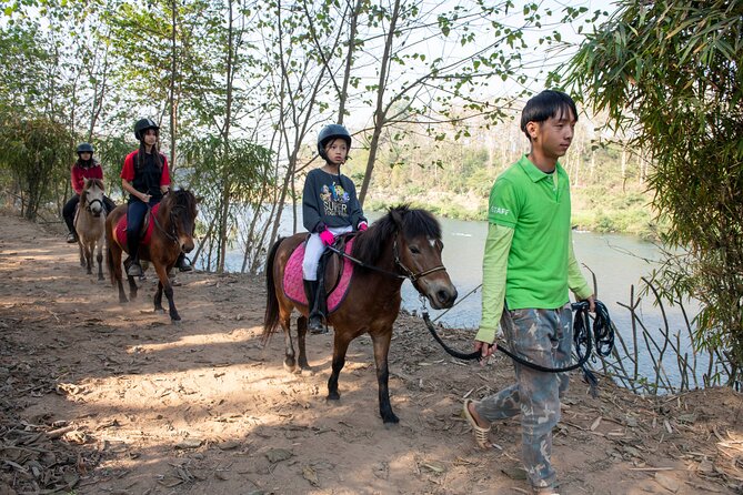 Pony Riding in Luang Prabang - Who should book this ride?