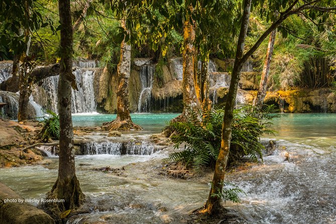 Private Tour Full-day Morning Market, Villages and Scenic Kuang Si Waterfall - Lunch, the bear sanctuary, and the return route