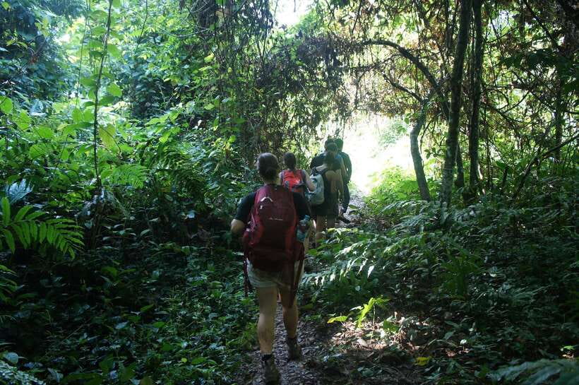 Vang Vieng: Jungle & Caves Full-Day Private Trekking Tour - What this Vang Vieng trek is really like