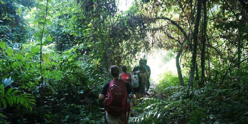 Vang Vieng: Jungle & Caves Full-Day Private Trekking Tour - Tham Hok Cave and the underground stop