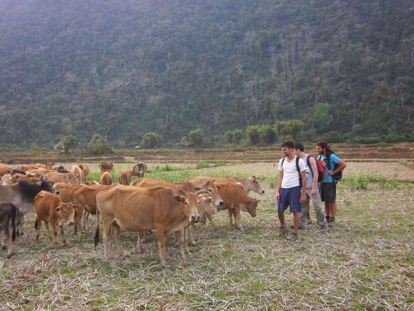 Vang Vieng: Jungle & Caves Full-Day Private Trekking Tour - Starting in Phathao village