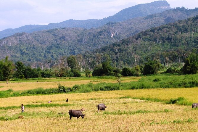 Vientiane Day Trip By Bike To Tad Moon Waterfall - Leaving Vientiane by bicycle at 9am