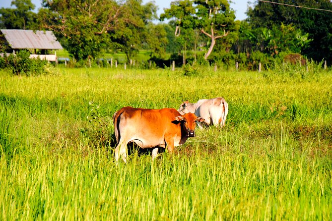 Vientiane Day Trip By Bike To Tad Moon Waterfall - Kayaking downstream beside Thailand